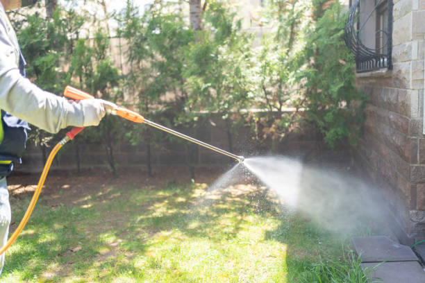 Best Pest Prevention Services  in Kremmling, CO