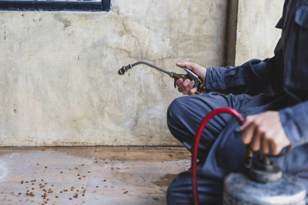 Pest Control Cost in Kremmling, CO